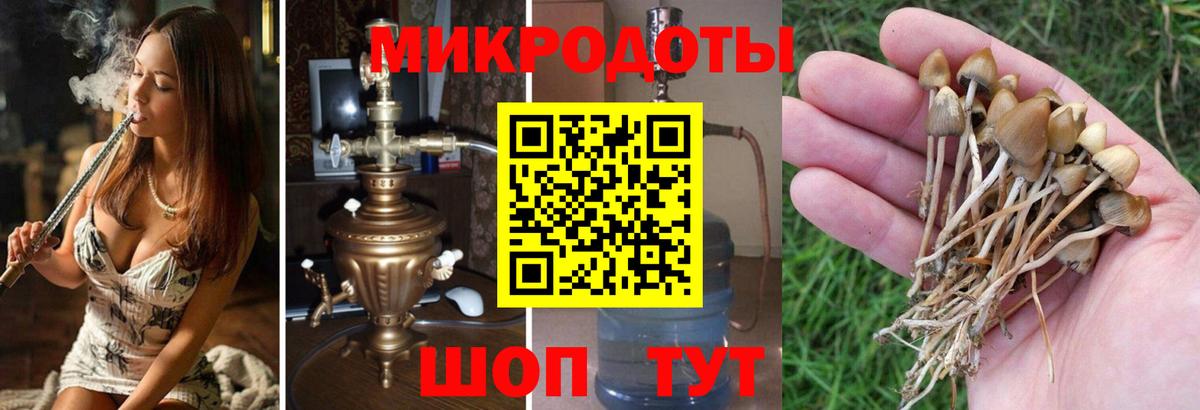 Псилоцибиновые грибы ЛСД Краснознаменск